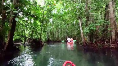 Tayland, Krabi 'deki yemyeşil su yollarını araştırıyorum.