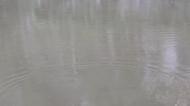 Nesne suya çarpar, genişleyen dalgalanma etkisi yaratır.