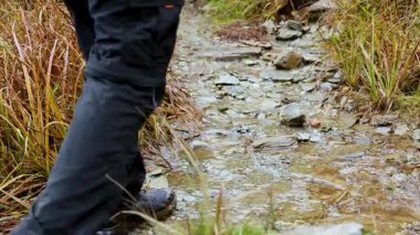 Bir yürüyüşçü Queenstown 'da uzun otlarla çevrili kayalık ve ıslak bir patikada gezinir. Bulutlu aydınlatma doğal ayarı güçlendirir