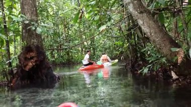Serin bir kano yolculuğunda yemyeşil mangrovları keşfediyorum.
