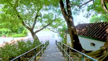 Halka açık bir parkta ağaçların altında yol