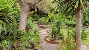 Berrak bir bahçede huzurlu bir yürüyüş.