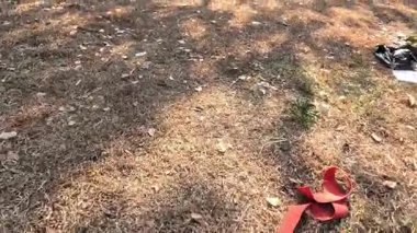 Zeminde artan çöp dizisi