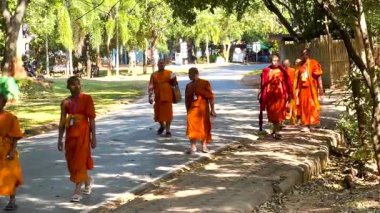 Huzurlu bir ortamda birlikte yürüyen genç keşişler.