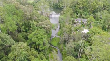 İnsansız hava aracı görüntülerinde yemyeşil bir yer ve Tullebudgera Hinterland 'dan akan sakin bir nehir görülüyor. Altın Sahil, gün ışığı altında.