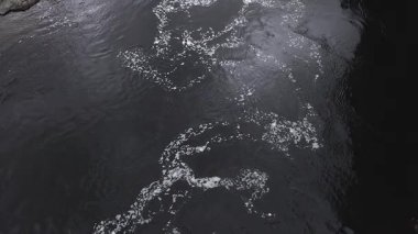 Nehir yüzeyinde dalgalar şekilleniyor.