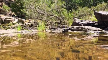 Kayaların ve bitkilerin üzerinden akan temiz akarsu