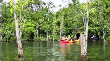 İki kanocu, yemyeşil, dingin bir su yolunda yol alır.