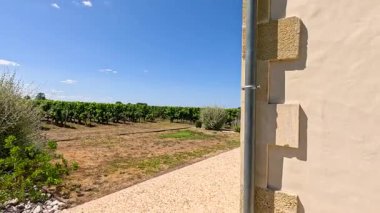Saint Emilion, Fransa 'daki manzara üzüm bağı manzarası