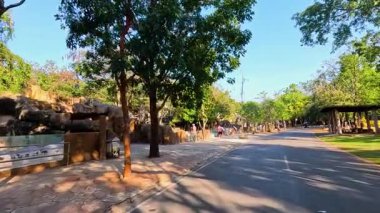 Ziyaretçiler yemyeşil hayvanat bahçesi çevresinde geziniyor