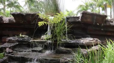 Yeşil yapraklar arasında taşların üzerinde çağlayan su
