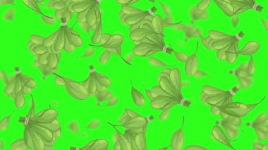 Kale yaprakları yavaşça yeşil zemine düşer.