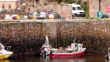 Fife Limanı 'nda teknelerin üzerinde uçan martılar.