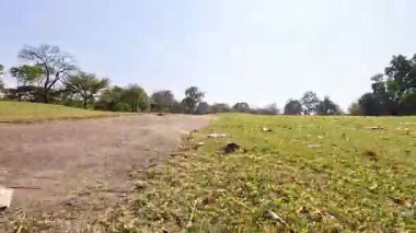 Ağaçlar ve Yollarla Yeşili Yemyeşil Arazi