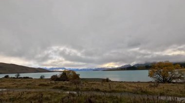 Yeni Zelanda, Tekapo Gölü 'ndeki göl yolu boyunca ilerleyen bir araç, dramatik bulutlar, sonbahar ağaçları ve geniş bir manzara çekiminde turkuaz su içeriyor.