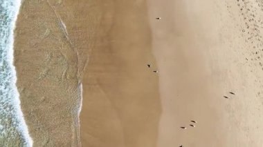 Okyanus dalgalarının yakınındaki kumsalda yürüyen insanlar.