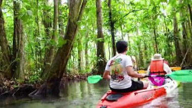 Kanoyla Krabi 'deki yemyeşil kanalları keşfediyorlar.