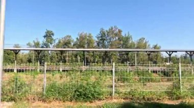 Bir tren penceresinden manzara değiştirme görüntüsü