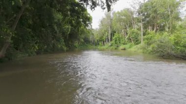 İnsansız hava aracı huzurlu bir nehir ve yemyeşil bir yer yakalıyor.