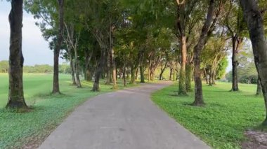 Ağaçlarla kaplı sakin bir golf sahası.