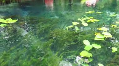 Krabi 'nin berrak su kanalında kano yolculuğu.