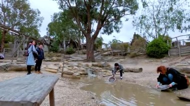 Turistler, ağaçlar ve kayalarla dolu doğal bir ortamda, Melbourne 'daki Egemen Tepesi' nde altın arayışı içindeler.
