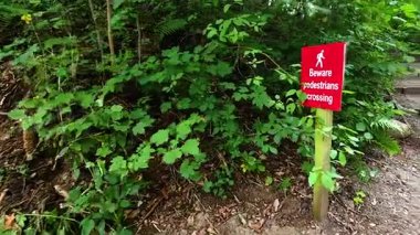 Ormandaki merdivenlerde yaya uyarısı işareti var.