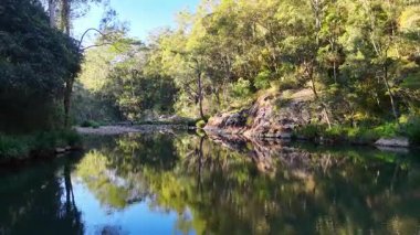 Bereketli yeşillik ve kayalık bankalarla sakin nehir manzarası, doğal gün ışığında yumuşak kamera hareketiyle çekildi.