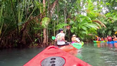 Kayakçılar Krabi 'de yemyeşil, temiz su kanallarında gezinirler.