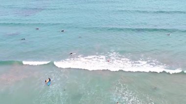 Okyanus Korusu 'nda dalgaların tadını çıkaran sörfçüler, Victoria