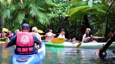 Bereketli Yengeç Ormanı 'nda açık su kanalında kayak yapan bir grup.