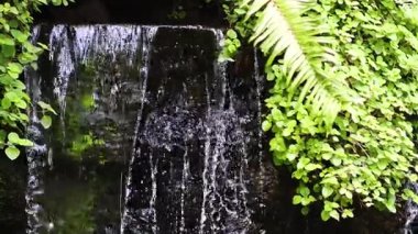 Su yemyeşil kayaların üzerinde çağlayarak akıyor.