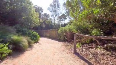 Bereketli yeşillikte huzurlu bir yürüyüş