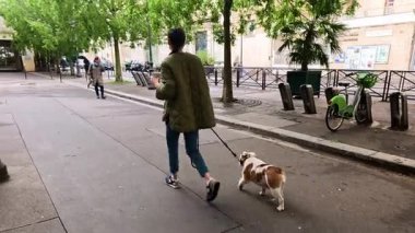 Bir köpekle ağaçlık bir patikada öylesine gezinmek..