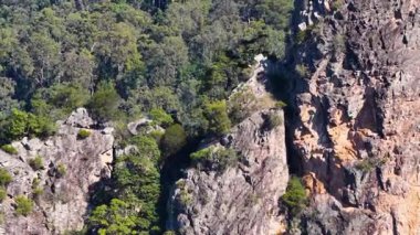 İnsansız hava aracı görüntülerinde Nimbin Rocks 'un rhyolite oluşumları yoğun okaliptüs ormanları arasında gün ışığında görülüyor.