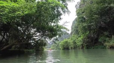 Yeşillik içinde huzurlu bir tekne yolculuğu.