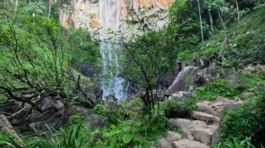 Bereketli ormanda şelale çağlıyor.