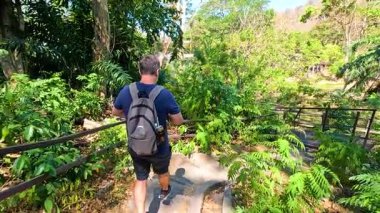 İnsanoğlu Tayland 'daki yemyeşil orman köprüsünü keşfediyor.