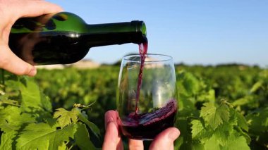 Üzüm bağındaki cama kırmızı şarap dök.