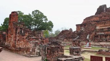 Turistler Ayutthaya 'daki antik tapınak kalıntılarını keşfediyorlar
