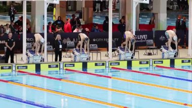 Yüzücüler bir havuz yarışı yarışında yarışıyorlar