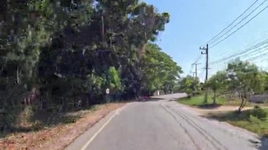 Ağaçlarla kaplı bir banliyö sokağında seyahat ederken