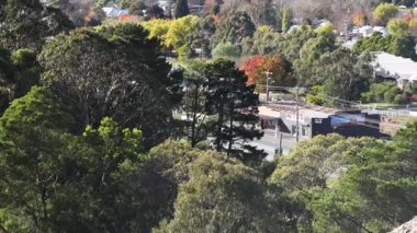 Ballarat 'taki ağaçların ve binaların panoramik manzarası