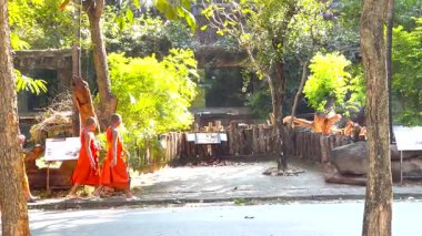 Genç keşişler sakin bir hayvanat bahçesi yolunda geziniyor.