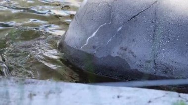 Su dalgaları büyük bir kayaya çarpıyor.