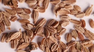 Beyaz bir yüzeye dağılmış havuç tohumlarının yakın çekim makro videosu, parlak ışık altında dokuyu ve detayı vurguluyor