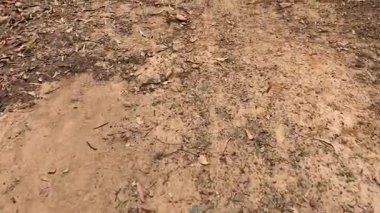 Engebeli, doğal bir patika boyunca bir yolculuk