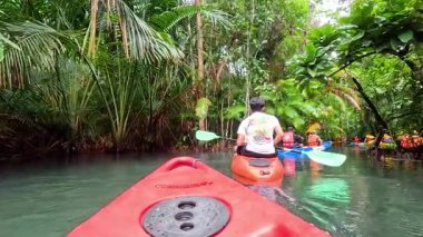 Bereketli tropikal çevrede kürek çekme macerası