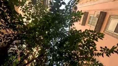 Dar bir sokakta ağaçlar ve binalar