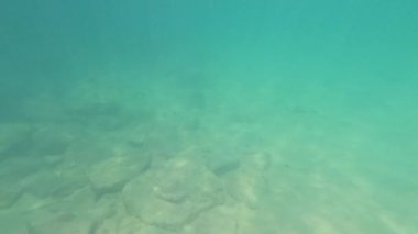 Su altı video görüntülerinde Laem Singh Sahili, Phuket, Tayland 'da kayalık deniz yatağı ve turkuaz suları görülüyor.